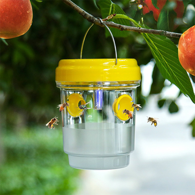 Outdoor Lighting Solar Panel - Trappole Solari per Mosche della Frutta,