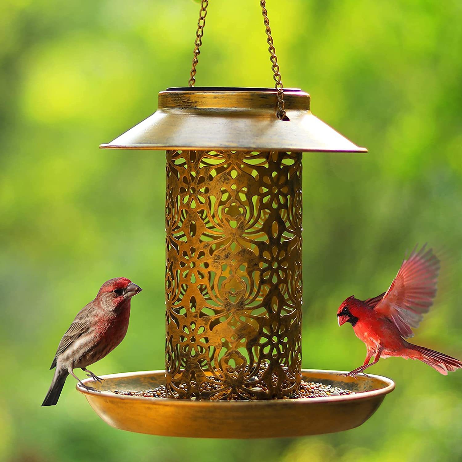 Outdoor Lighting Backyard Ideas - Casa per uccelli sospesa Mangiatoia per