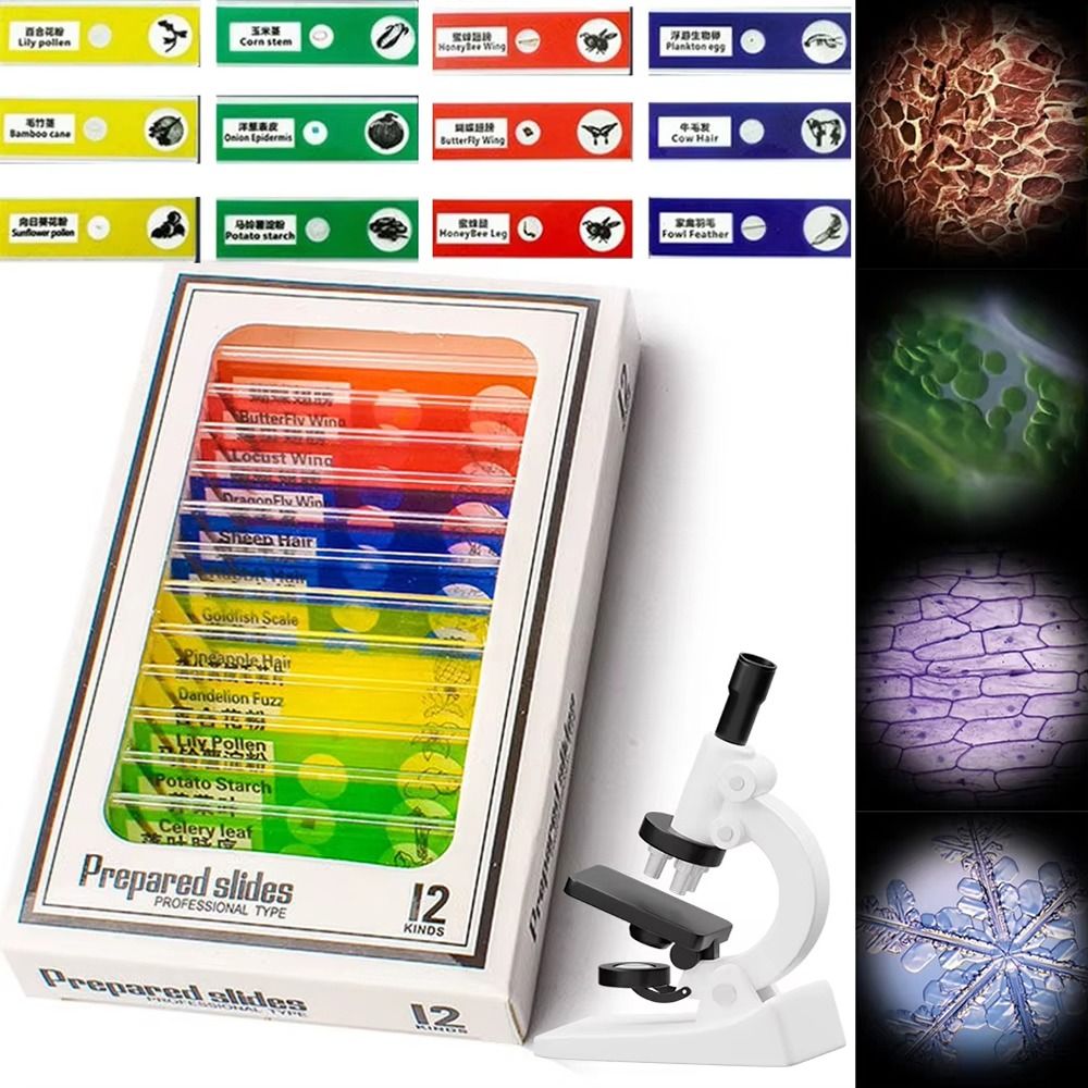Microscopio Tascabile 60-120X  - Outdoor Lighting Kits recensione e prezzo
