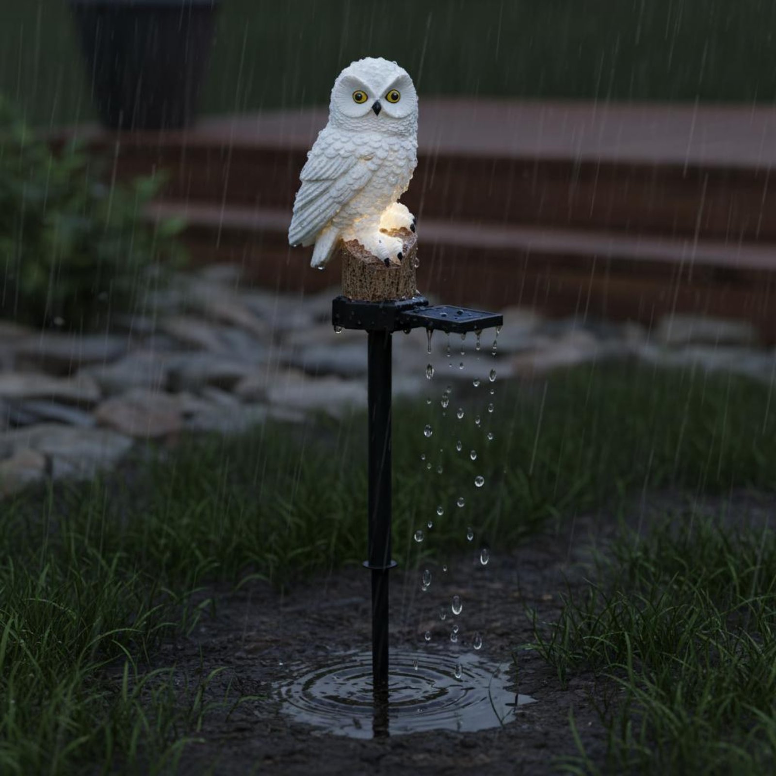 Luce Solare a Forma di Gufo da - Outdoor Lighting Pathway recensione e prezzo